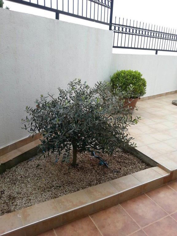 Apartments Sveti Stefan-Marko Εξωτερικό φωτογραφία